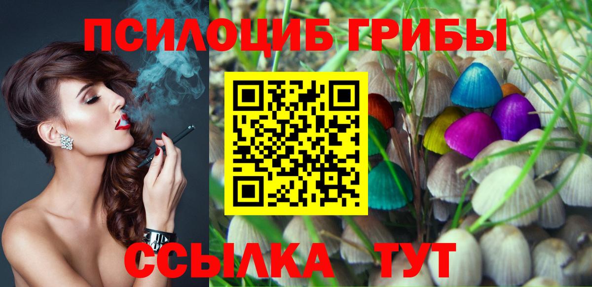 Красноармейск  Галлюциногенные грибы мицелий  купить   Вход с VPN 