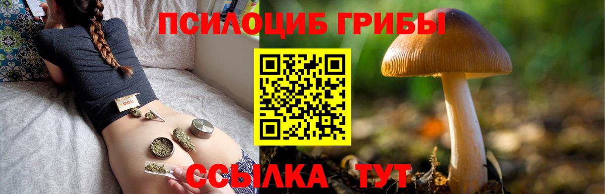 Галлюциногенные грибы Красноармейск
